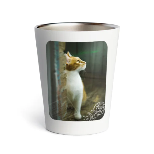 ウクライナの猫 MurchikくんとNikotinくん♡ Cats ♡ Ukrainian cats #ウクライナ 本と猫 Donation Items Thermo Tumbler