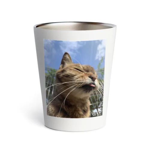 ラブ　キャット Thermo Tumbler