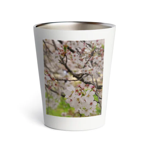 きれいな桜 Thermo Tumbler