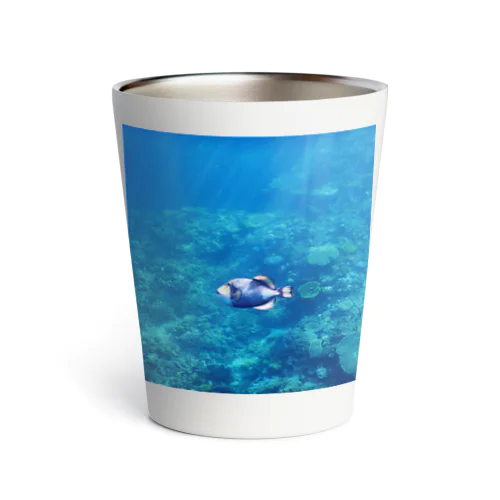 阿嘉島のゴマモン Thermo Tumbler