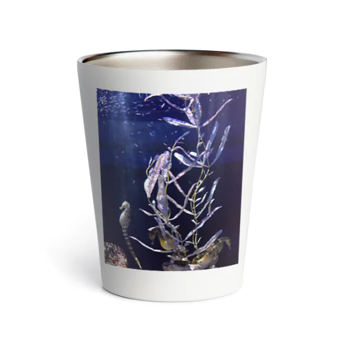 seahorses Thermo Tumbler