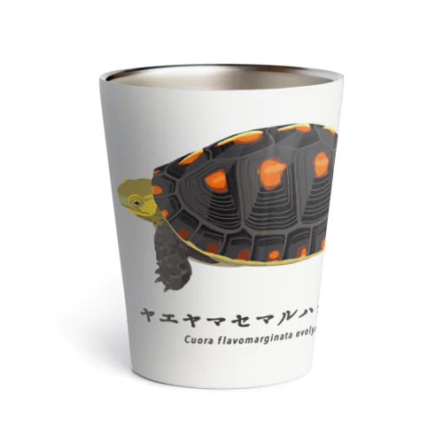 ヤエヤマセマルハコガメ Thermo Tumbler