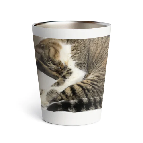 まるまった猫 Thermo Tumbler