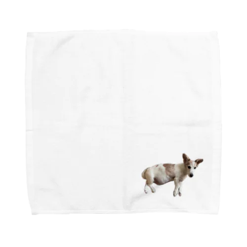 Jake Towel Handkerchief