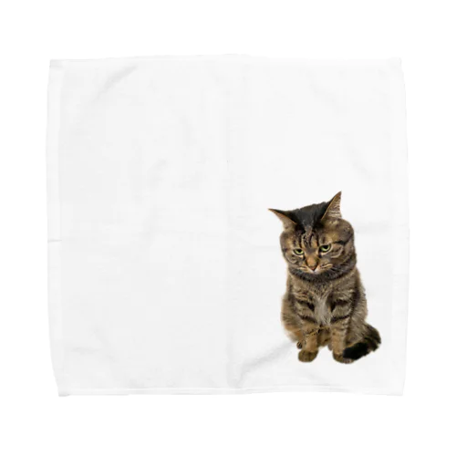 もじもじ猫きっと Towel Handkerchief