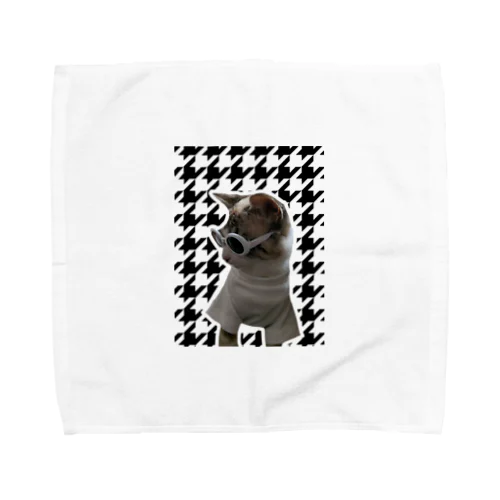 Cat Towel Handkerchief