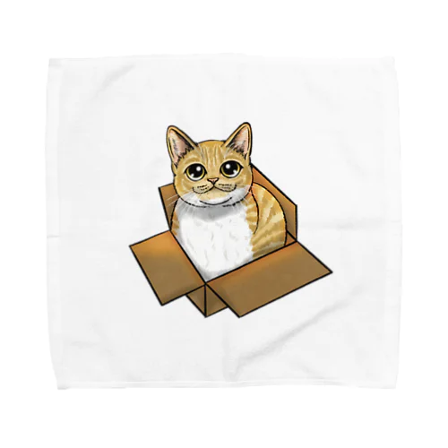 ダンボールにゃんこ Towel Handkerchief