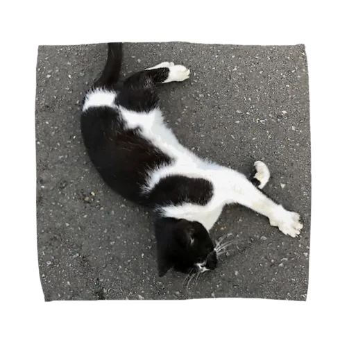 201904250812002　朝の牛猫 Towel Handkerchief