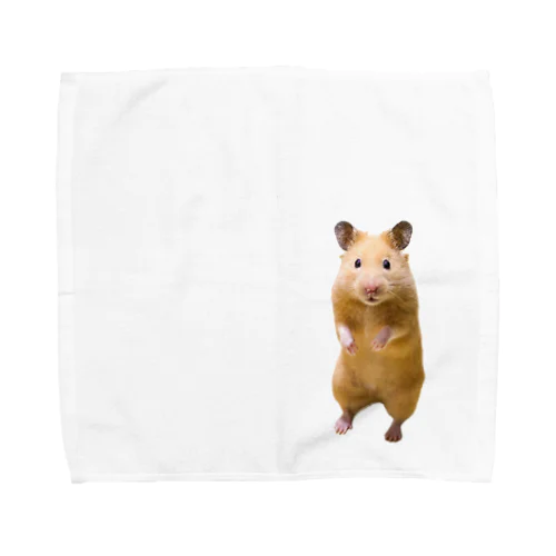 キンクマハムスターのめんち Towel Handkerchief