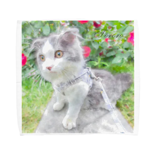 scottishfold_tororo Towel Handkerchief