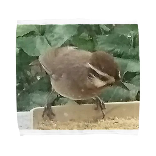 野鳥さん タオルハンカチ