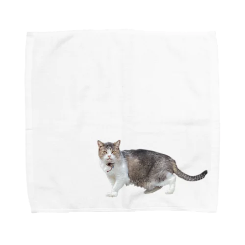 造形のおかしい猫 Towel Handkerchief