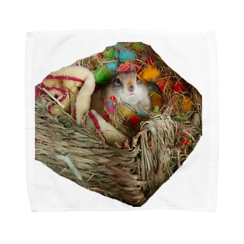 出荷日。 Towel Handkerchief