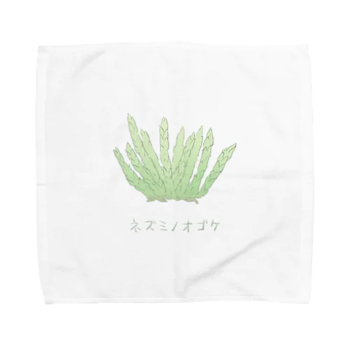 ネズミノオゴケ【苔グッズ】 Towel Handkerchief