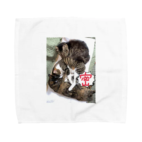 密密グッズ Towel Handkerchief