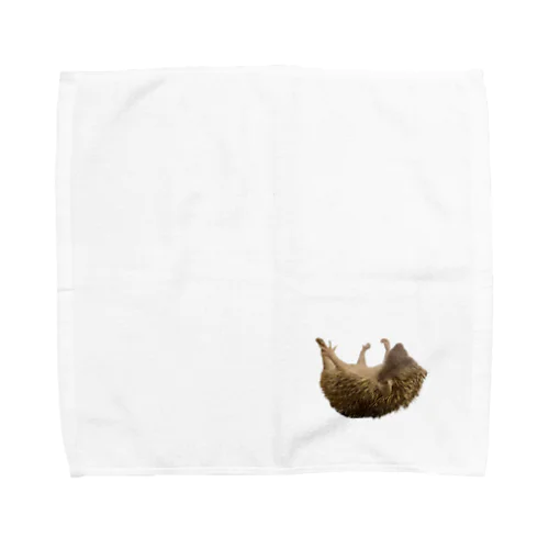 ヒメハリテンレックのぷぅちゃん Towel Handkerchief
