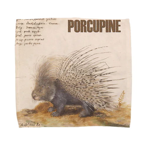 PORCUPINE　ヤマアラシ タオルハンカチ