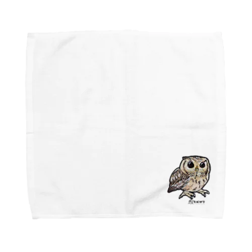 カラードコノハズク（インドコキンメフクロウ） Towel Handkerchief