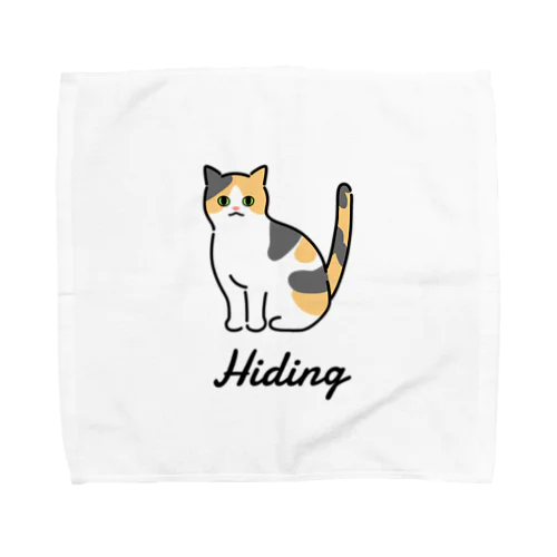 Hiding Towel Handkerchief