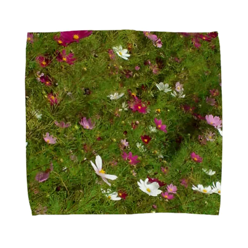 201408311255000　風の中の秋桜 Towel Handkerchief