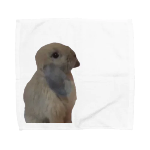 ベビーメル Towel Handkerchief