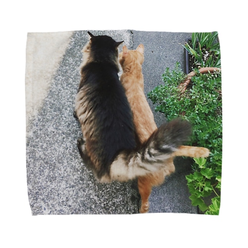 らぶ猫 Towel Handkerchief