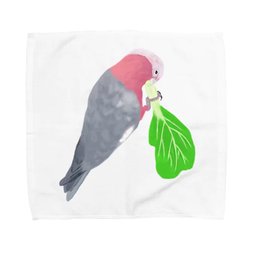 チンゲン菜食べるモモイロインコ Towel Handkerchief