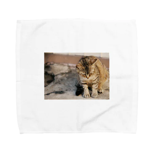 猫ちゃんの休日 Towel Handkerchief