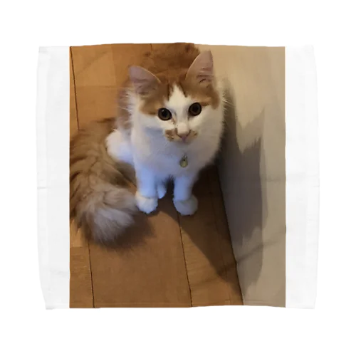 ある猫のワンショット Towel Handkerchief