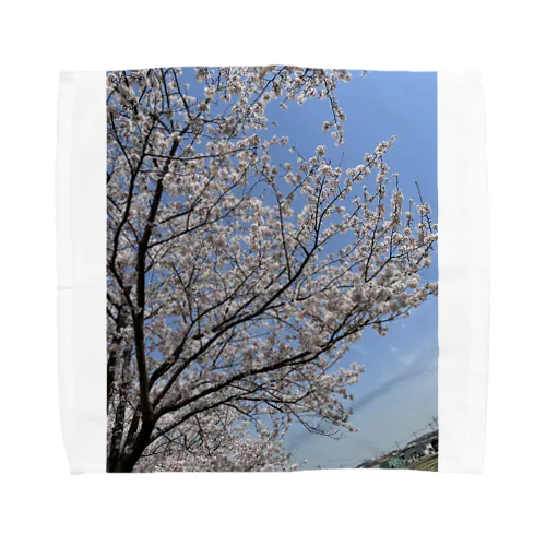 近所の桜 タオルハンカチ