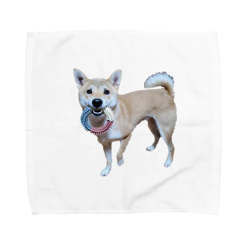 一緒にあそぼ？柴犬 Towel Handkerchief