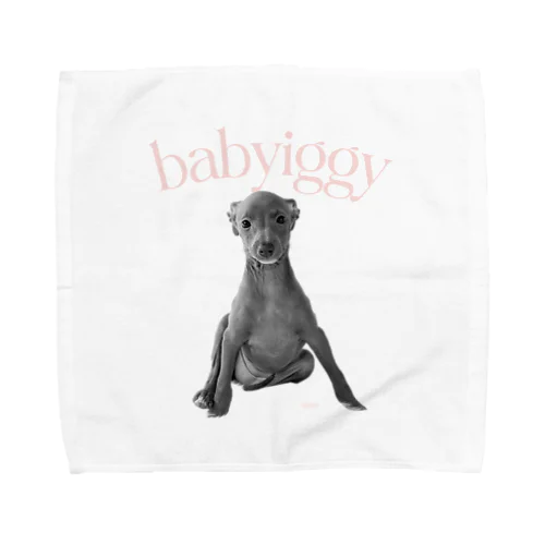 baby　イタグレ Towel Handkerchief