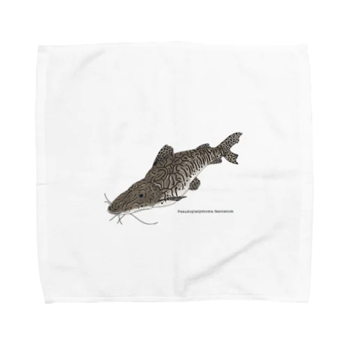 タイガーショベルノーズキャットフィッシュ Towel Handkerchief