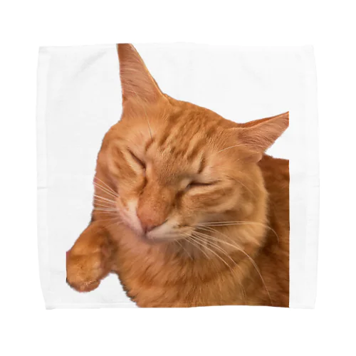 ネムネム我が家のお猫様 Towel Handkerchief