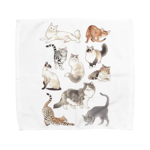 CATS Towel Handkerchief