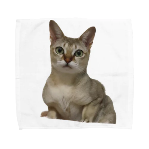 nyan Towel Handkerchief