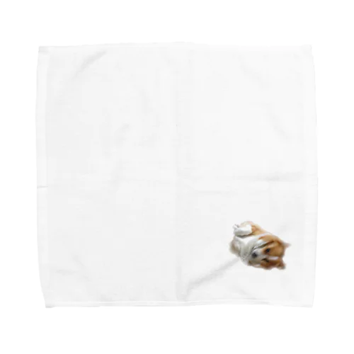 FUNKY  DOG Towel Handkerchief