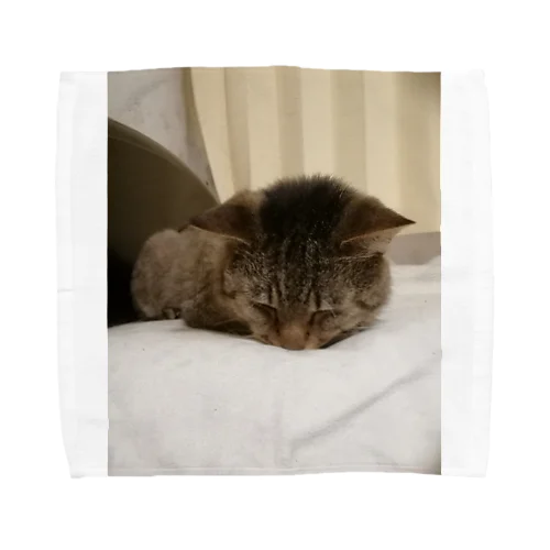 家の猫　茶虎 Towel Handkerchief