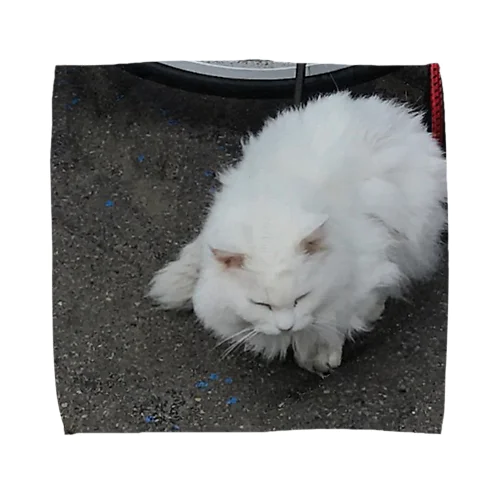 自転車屋のけむけむ猫 Towel Handkerchief