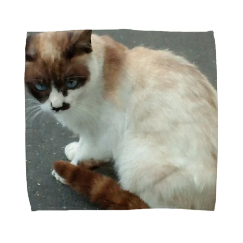 201408161744000　焦げ目の猫 Towel Handkerchief