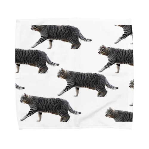 CAT WALK Towel Handkerchief