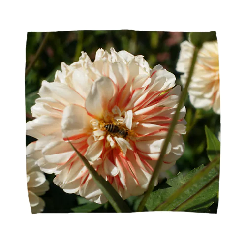 flower white2 Towel Handkerchief