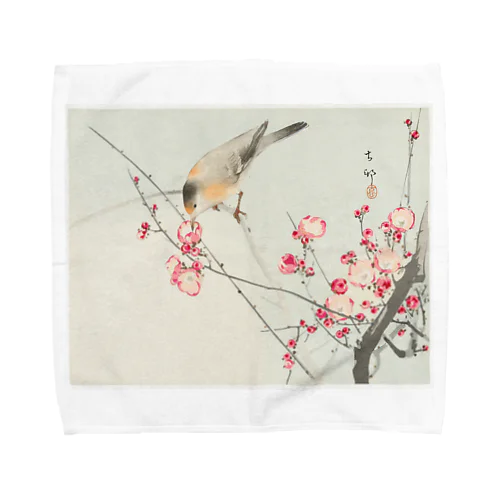 小原古邨　梅に鶯　Ohara Koson / Songbird on blossom branch タオルハンカチ