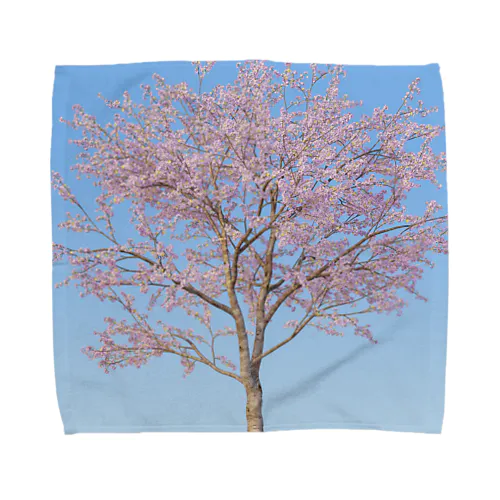 一本桜と空 by sakura365 Towel Handkerchief