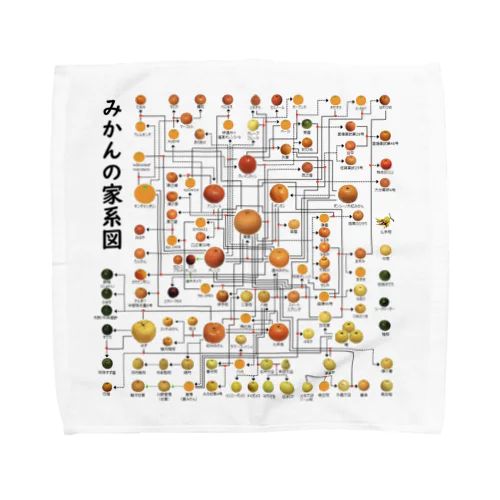 みかんの家系図 Towel Handkerchief