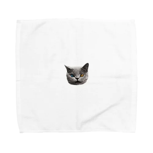 SharkCat Towel Handkerchief