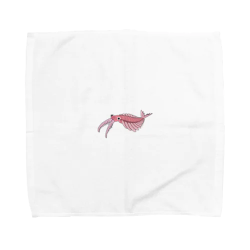 古生物　アノマロカリス2 Towel Handkerchief