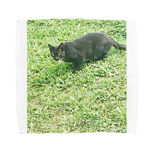 黒猫カカオの庭 Towel Handkerchief