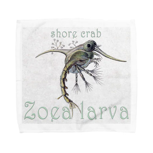 shore crab-Zoea larva「イソガニの幼生」 タオルハンカチ