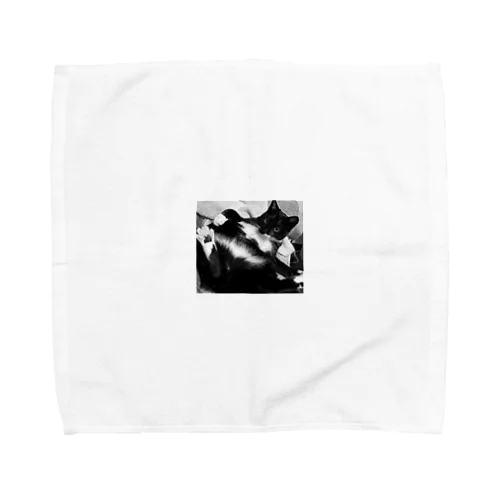 sexy cat Towel Handkerchief